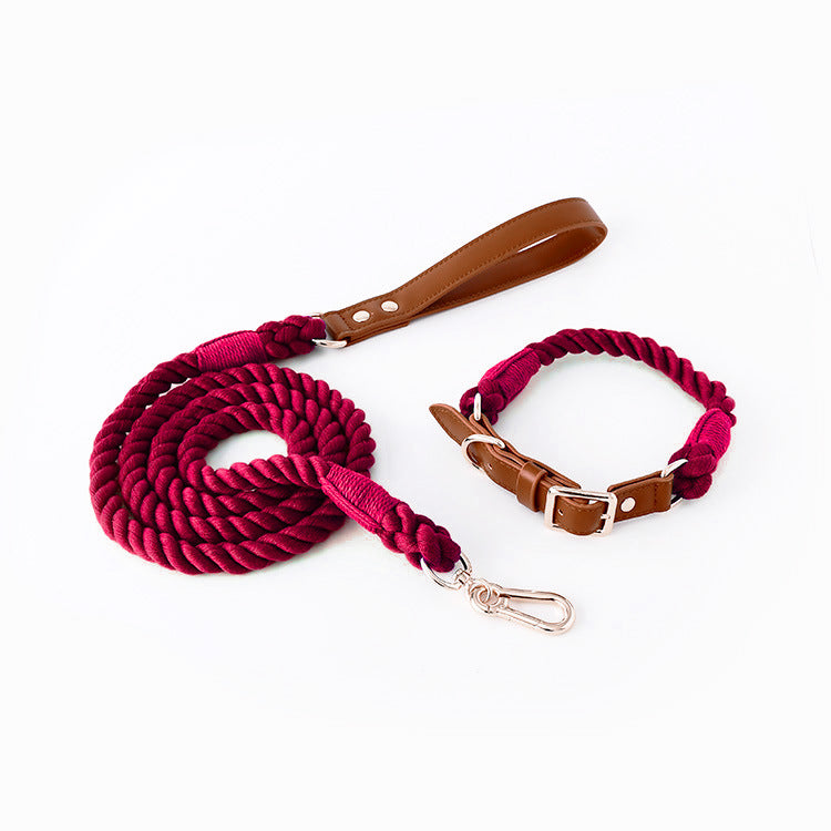 Braided cotton rope dog lead or collar, ideal for everyday use