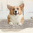 Self-warming pet thermal pad, photo 2 of 15