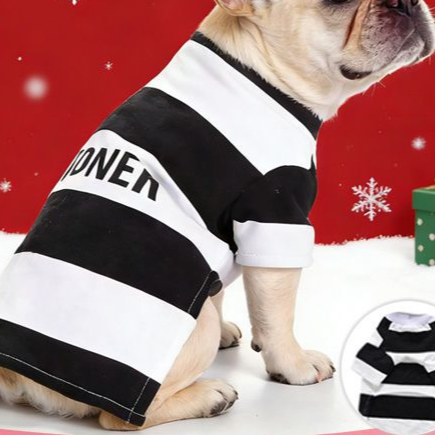 Christmas and Halloween pet costumes in 14 designs