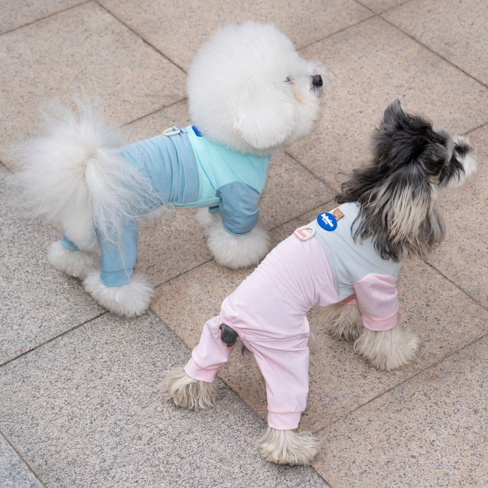 Breathable mesh four leg dog outfit, available in 3 colours, image 1