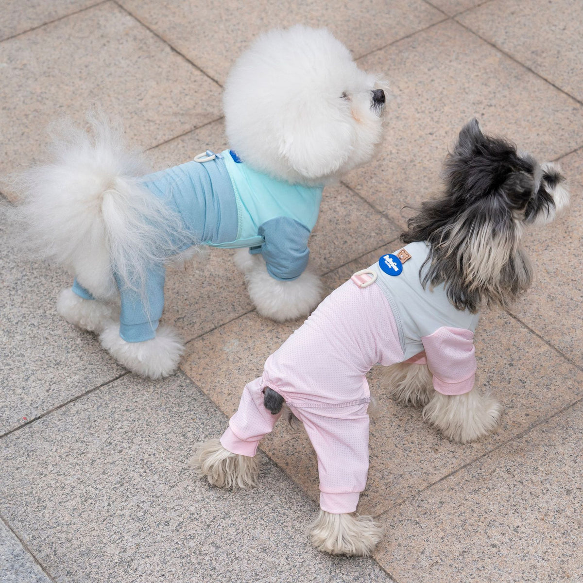 Breathable mesh four leg dog outfit, available in 3 colours, image 1