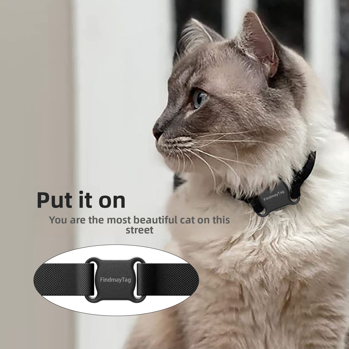 Lightweight pet locator tag for collars in White with Text, close-up detail