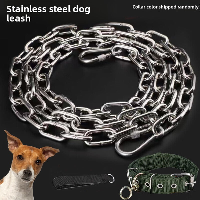 Stainless steel chain dog lead, ideal for everyday use