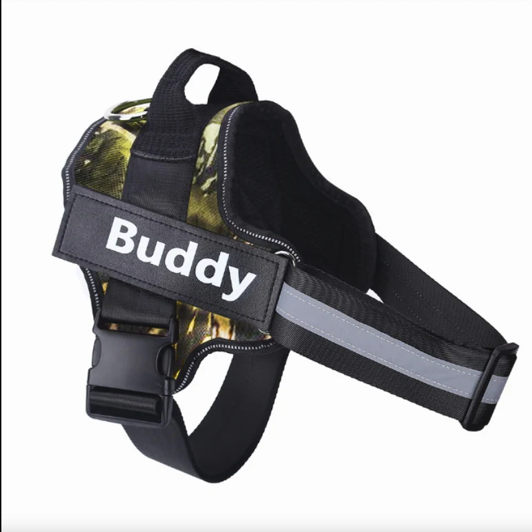 Padded nylon dog harness in camo green on a dog