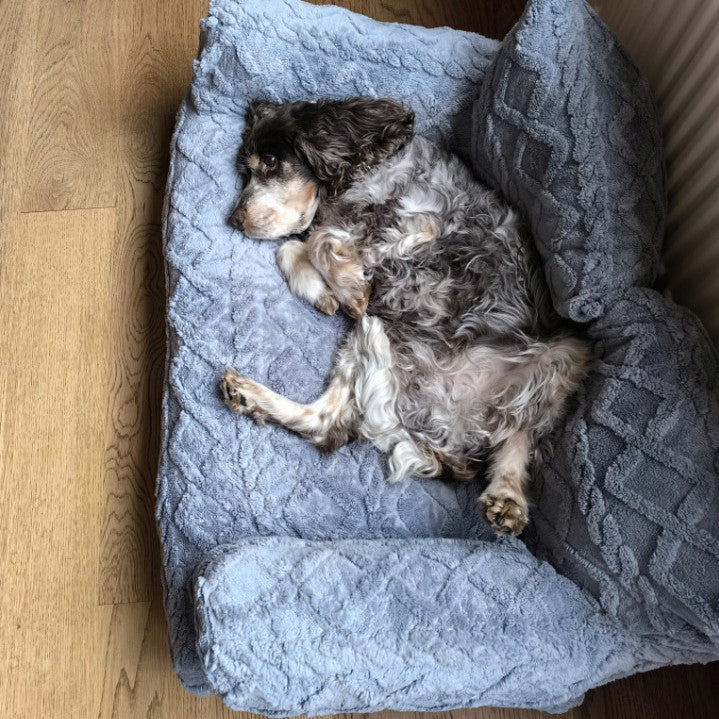 Pet sofa bed with removable washable cover, sizes from Small 45 x 39 x 21cm