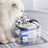 Automatic Pet Water Fountain with Filtration System