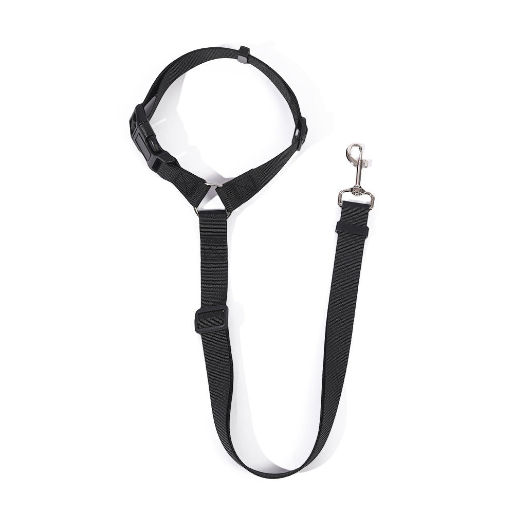 Dog car seat belt lead with headrest loop, available from Pet Royale UK