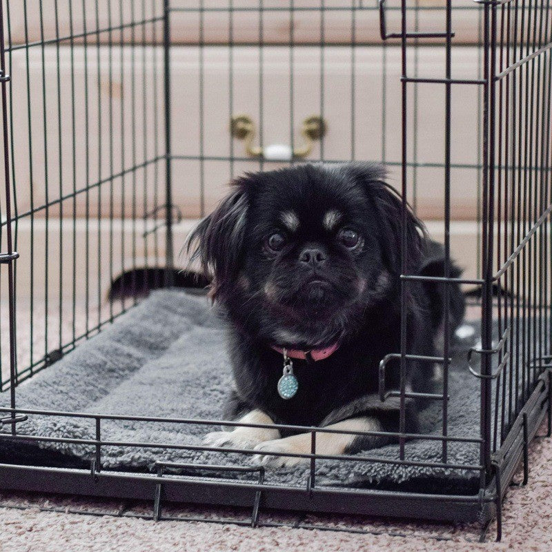 Thick plush pet bed blanket, detail photo 2