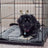 Thick plush pet bed blanket, detail photo 2
