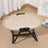 Portable Foldable Elevated Pet Bed, Raised Cot for Dogs and Cats