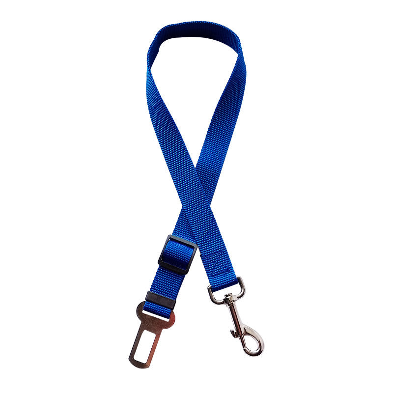 Car seat belt leads for dogs in eight bright colours
