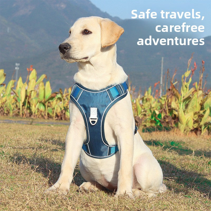 Dog harness vest with built-in retractable lead, product image 4