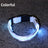 LED reflective dog collar glowing green on a night walk