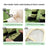 Four leg dog coverall with lead attachment, available in 2 colours, image 4