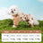 Four leg dog coverall with belly guard, available in 9 styles, image 32
