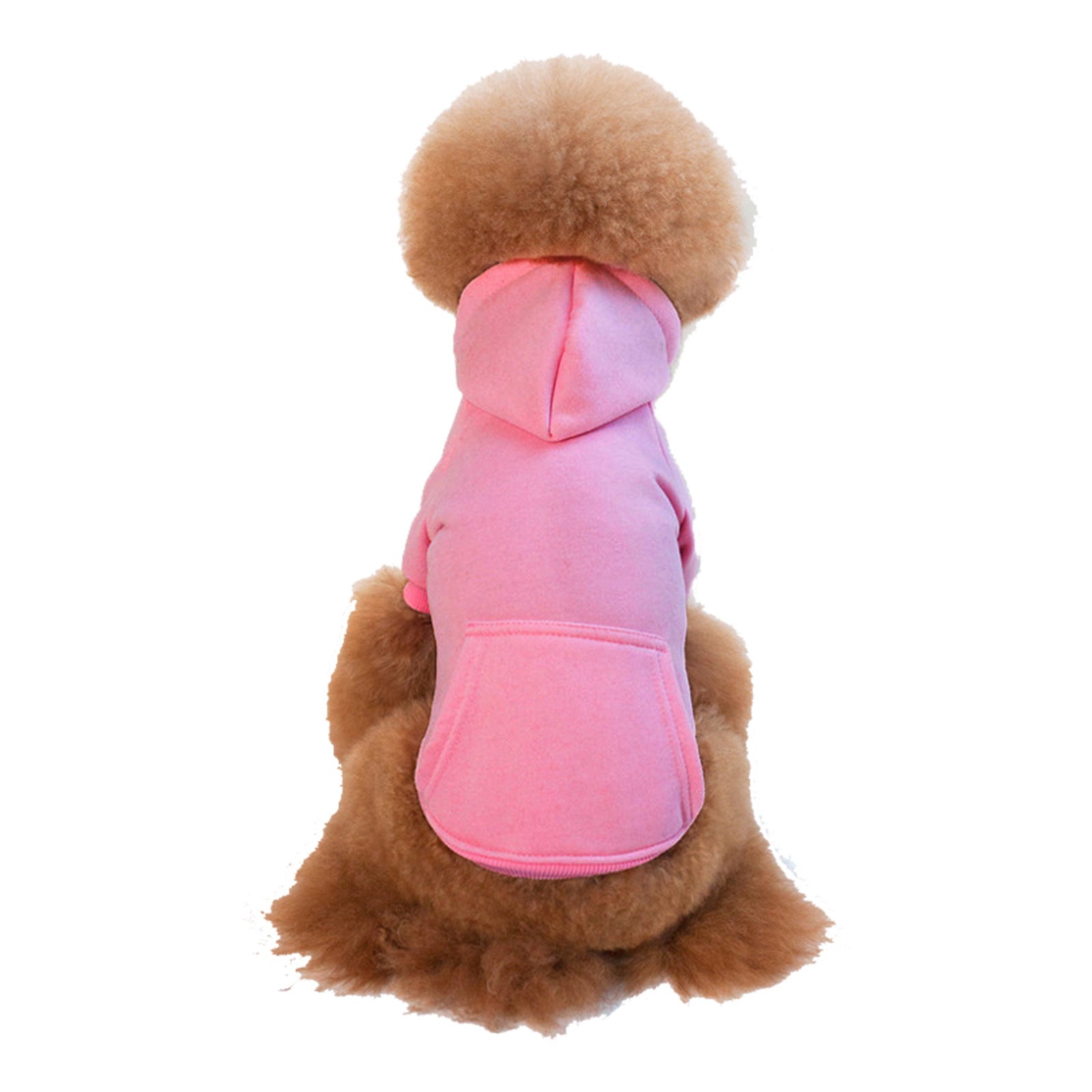 Small dog in a navy fleece lined hooded sweatshirt