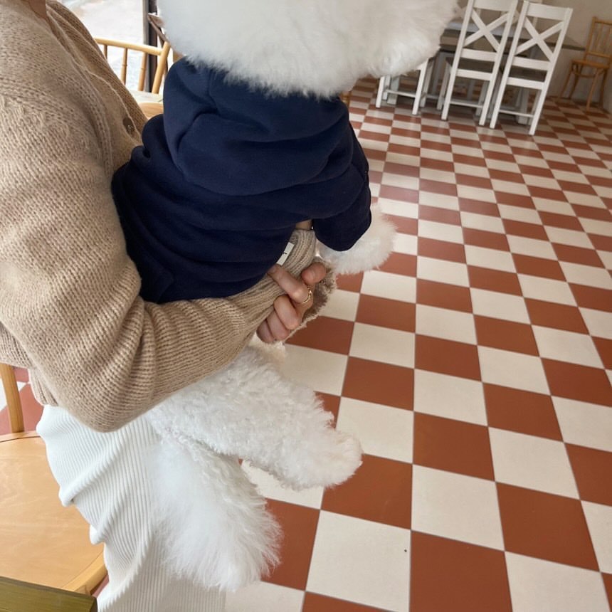Fleece lined hooded sweatshirt for small dogs and cats in Grey, showing size and shape