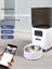 Automatic Cat Feeder with WiFi App Control, Timed Feeding and Optional Camera