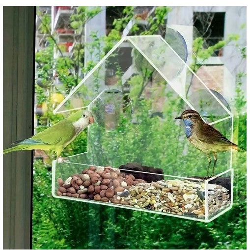Clear acrylic hanging bird feeder with roof, close-up detail view