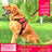 Padded cloth dog harness with Union Jack design in Red and Black, front view