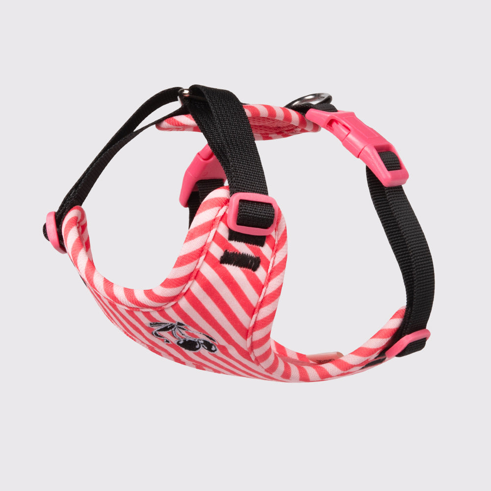 Sweet vest harness for small dogs in 4 colour options