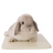 Pink ceramic heat relief pad for small pets