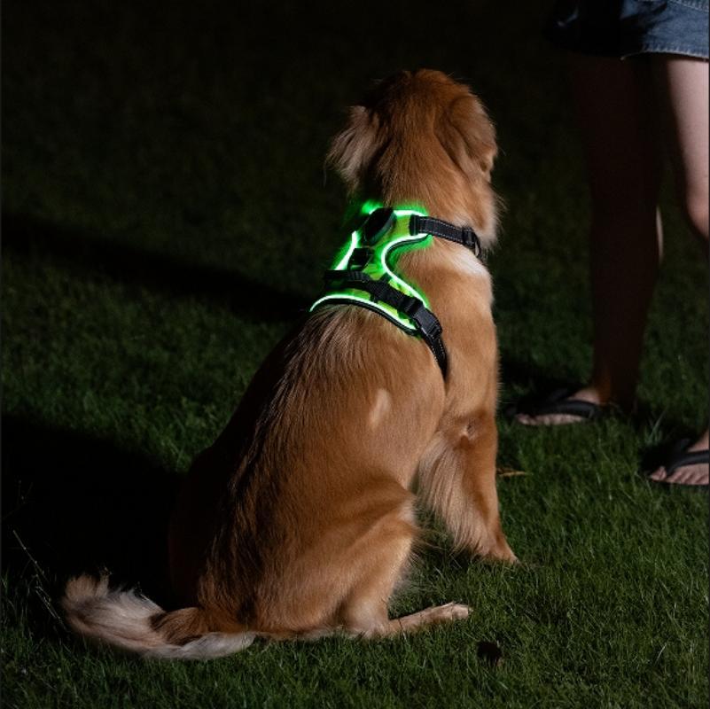 Type C rechargeable LED fibre optic dog harness glowing red