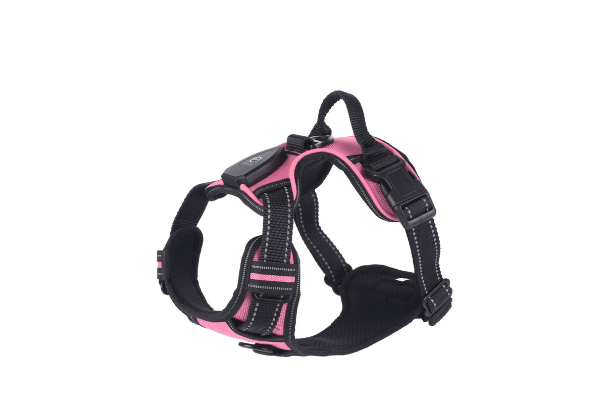 Light up fibre optic dog harness glowing at night, view 17