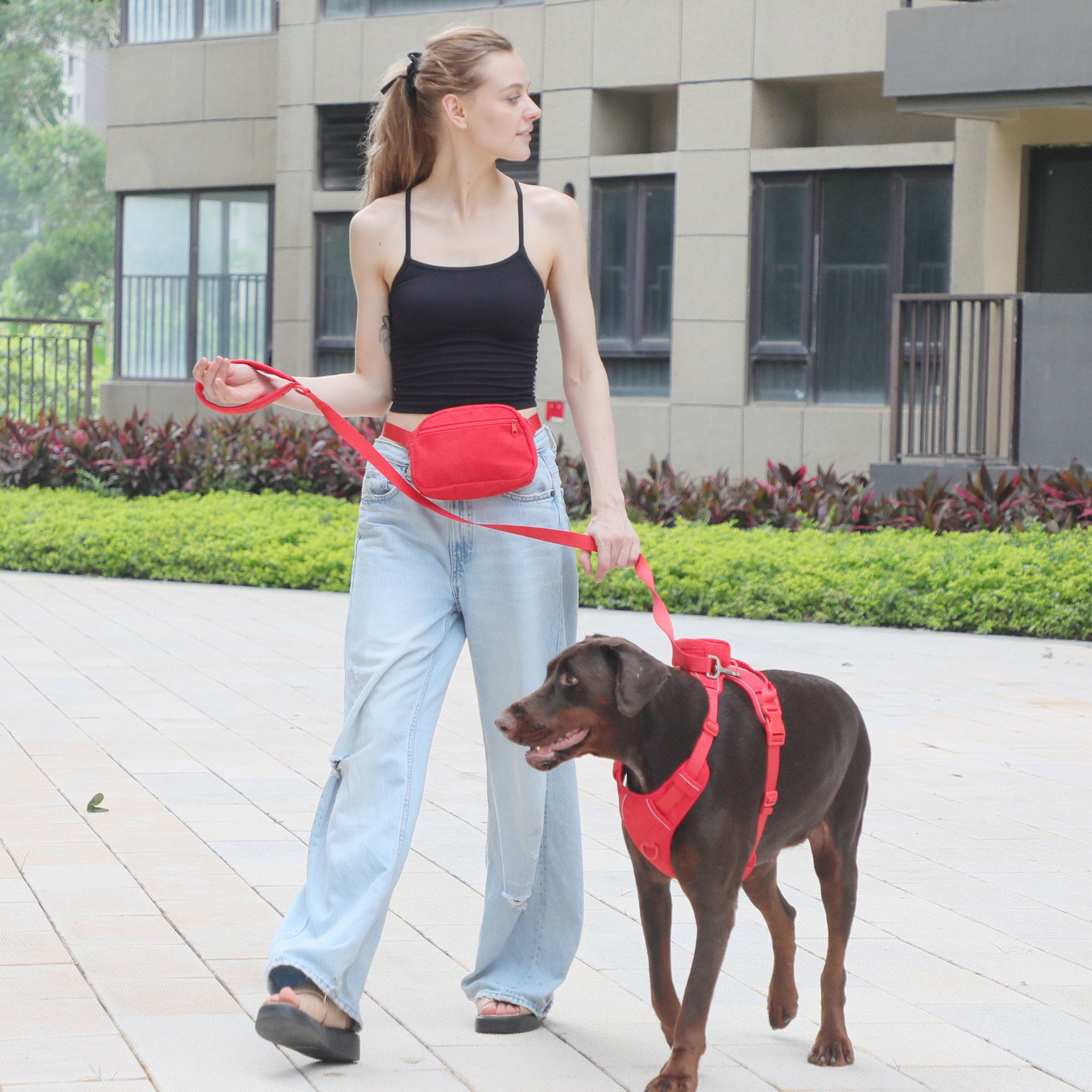 Romantic red corduroy dog harness collar and lead set, main product photo