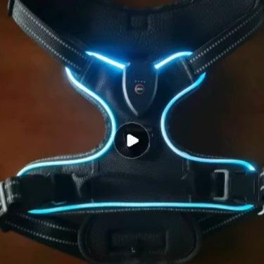 Light up fibre optic dog harness glowing at night, view 33