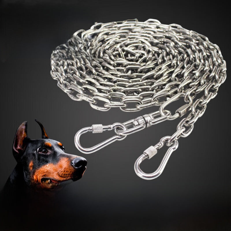Stainless steel chain dog lead, main product photo
