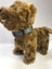 Adjustable buckle pet collar in bright colours for dogs, view 80