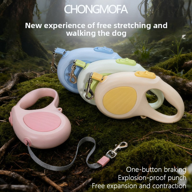 Retractable lead for small and medium dogs in 7 colour options