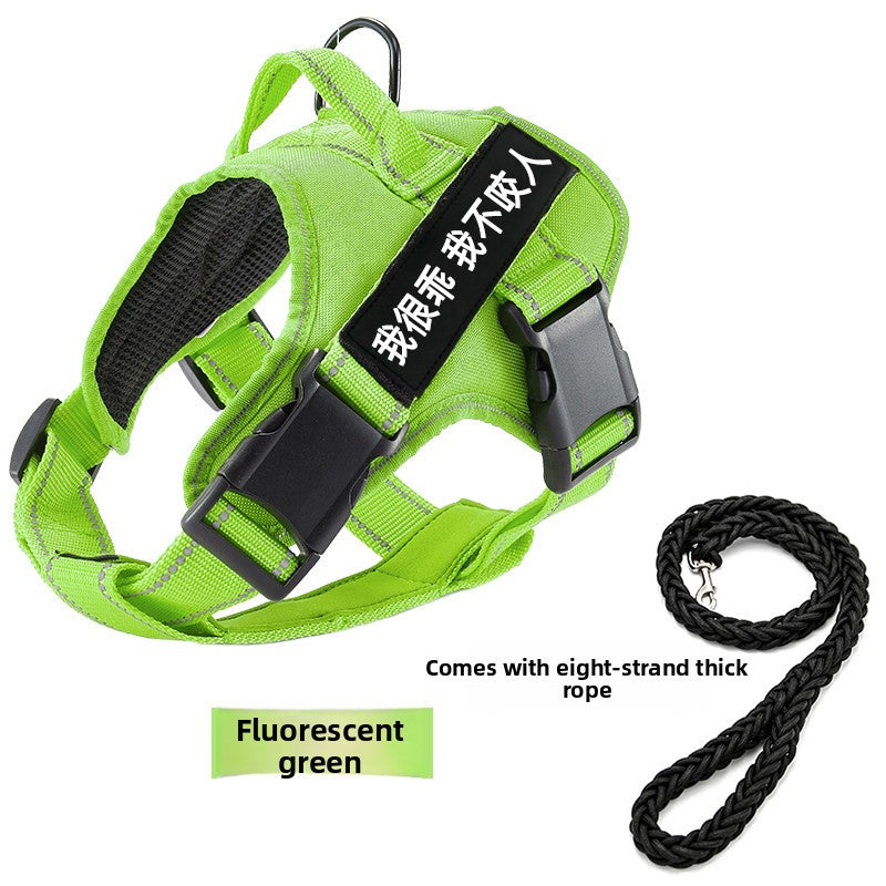 Padded vest dog harness, ideal for everyday use