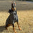 Black reflective hooded jacket for large dogs, in Black, sizes 3XL to 7XL, image 7