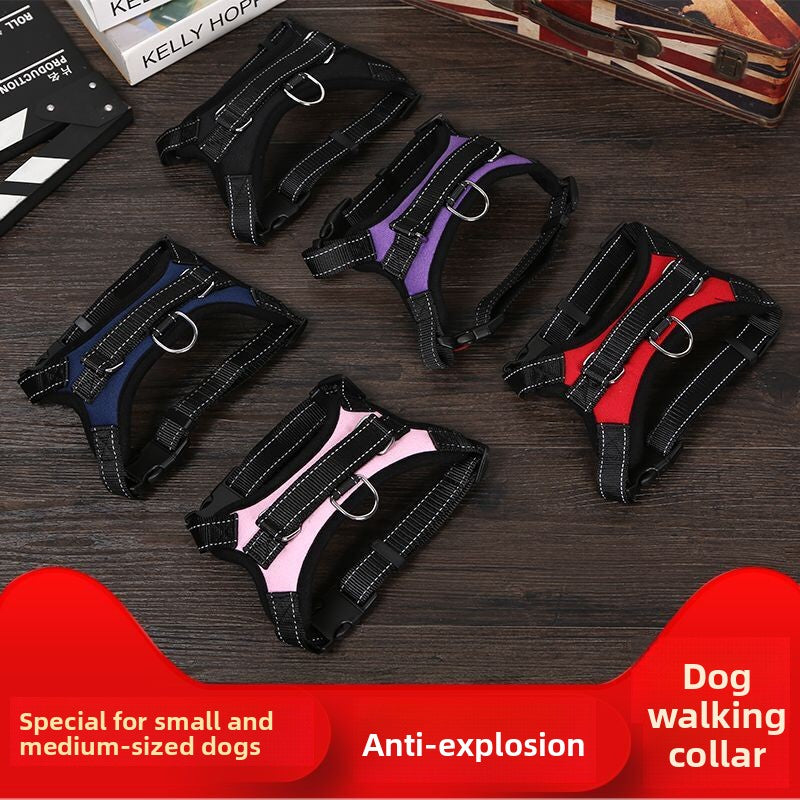 Breathable adjustable dog harness with reflective lead in Blue, front view