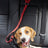 Nylon dog car seat belt leads in nine colours