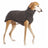 Soft velvet sleeveless dog vest in solid colour, product image 55