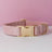 Velvet dog collars in burgundy, purple and white colour options