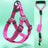 Three piece dog harness, collar and lead set in blue