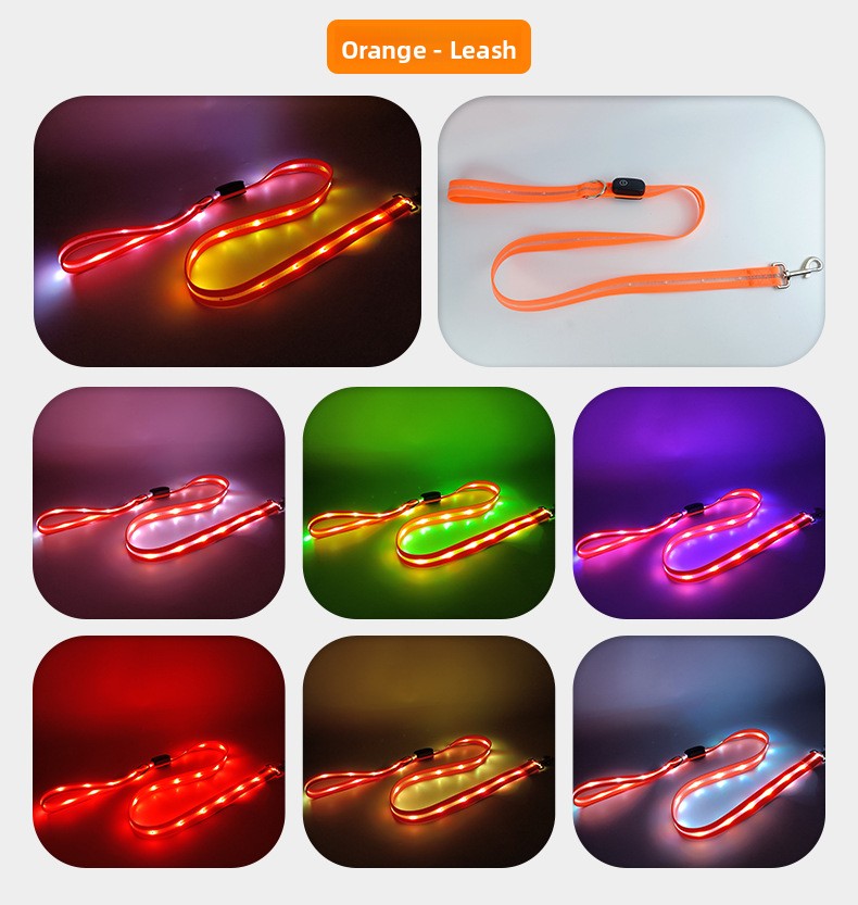 USB rechargeable LED dog collar and lead in Pink Blue Collar, showing size and shape