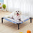 Small dog resting on an elevated bed with cyan alpaca pattern