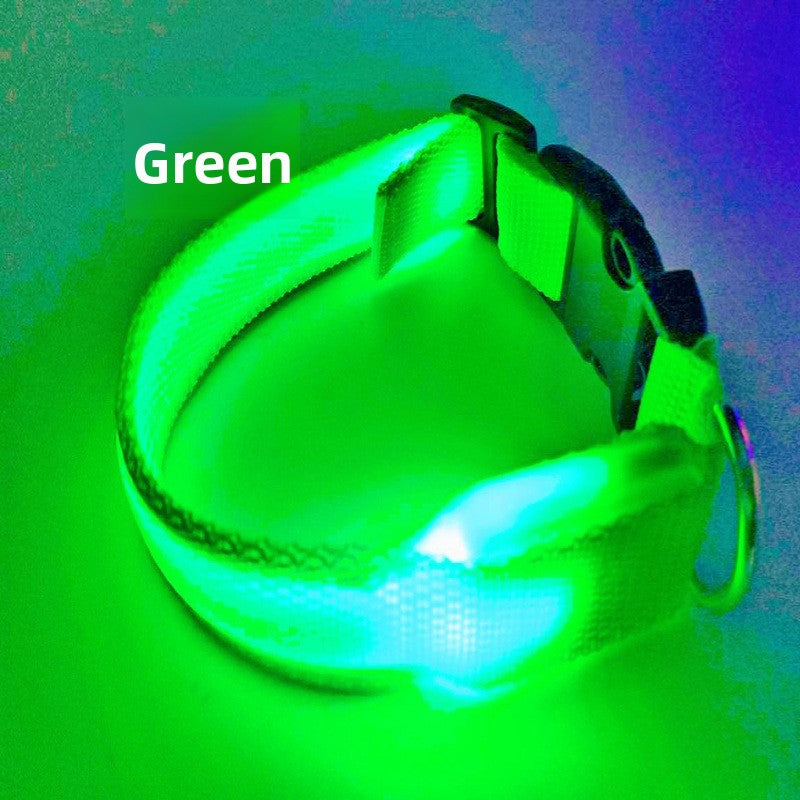 LED nylon pet collar with double-sided glow in Multicolour, top view