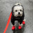 Small dog wearing bright silicone rain boots on a wet pavement
