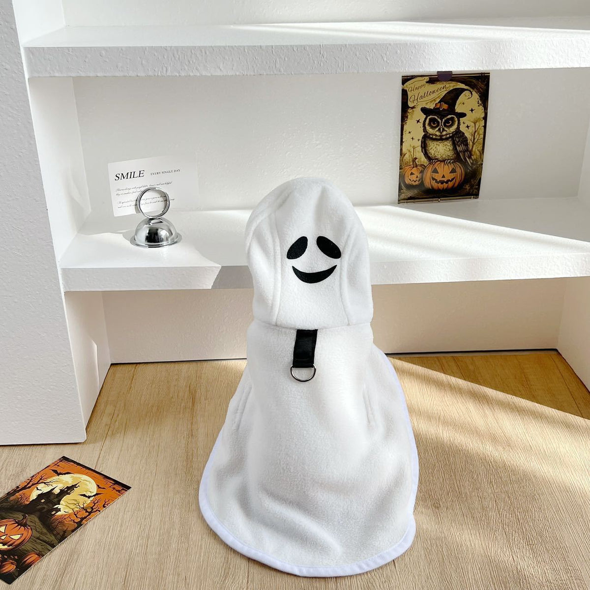 Selection of funny Halloween and Christmas costumes for pets