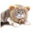 Crochet lion mane hat for dogs and cats, available in 4 styles, image 5