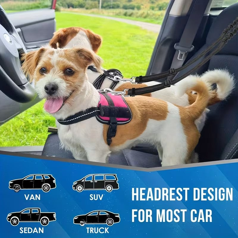 Elastic dog car safety lead, close-up detail view