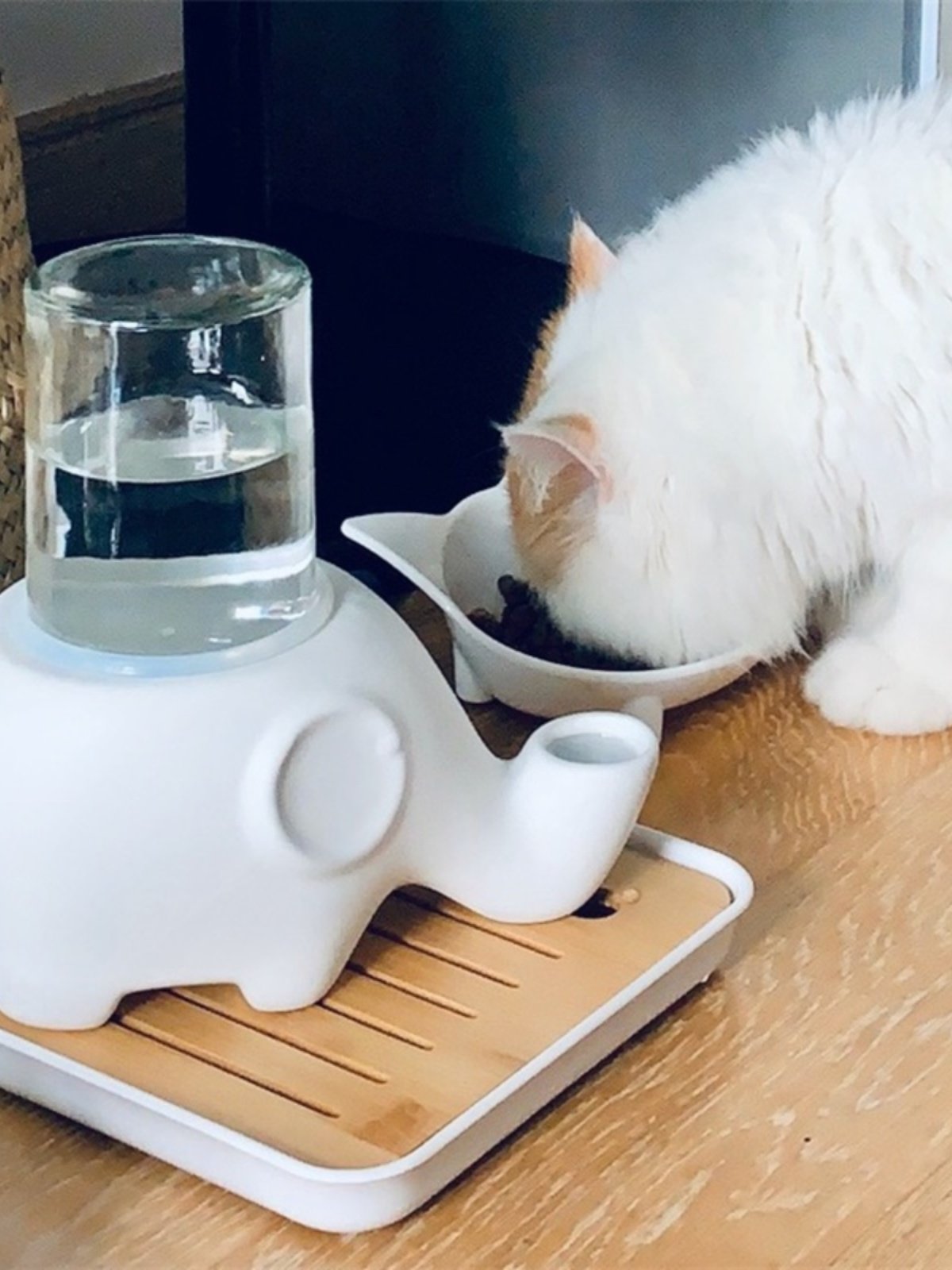 Ceramic Elephant Cat Water Dispenser with Glass Bottle and No-Wet Chin Design