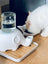 Ceramic Elephant Cat Water Dispenser with Glass Bottle and No-Wet Chin Design