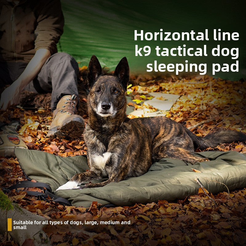 Washable bite-resistant waterproof dog mat, photo 1 of 8
